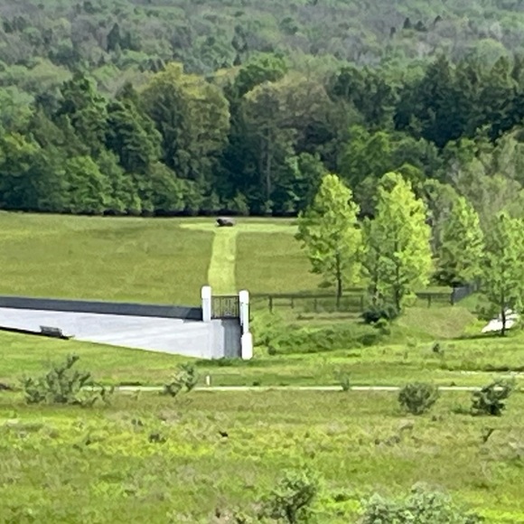 Let Us NOT Forget 🇺🇸 - Picture 8 of 12